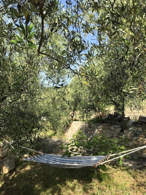 Villa Berio Due - Tuija Villa Viani Eksteriør bilde