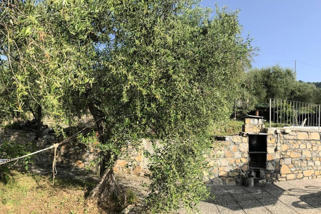 Villa Berio Due - Tuija Villa Viani Eksteriør bilde